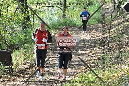 Preview 111015_3431pb2621arc.jpg