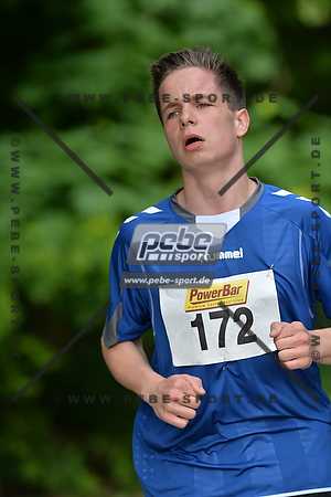 Preview 130524_093836_PB4_3533arc.jpg