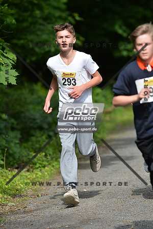 Preview 130524_094118_PB4_3675arc.jpg