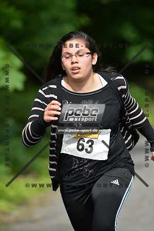 Preview 130524_094120_PB4_3680arc.jpg