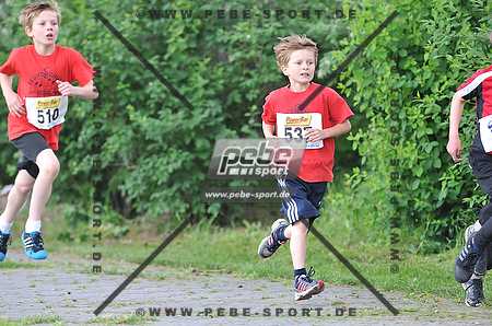 Preview 130528_093055_PB3_8127arc.jpg