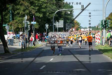 Preview 130901_103312_PB46224arc.jpg