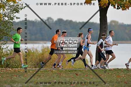 Preview 131020_101504_PB4_6154arc.jpg