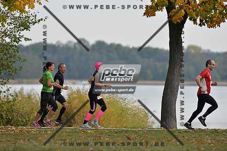 Preview 131020_101508_PB4_6159arc.jpg