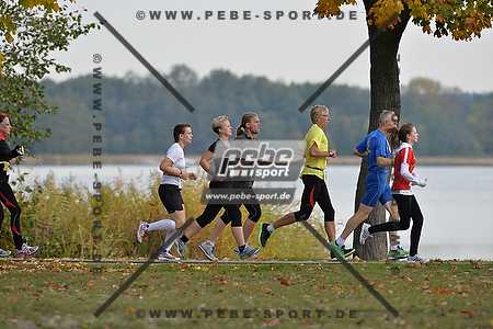 Preview 131020_101515_PB4_6171arc.jpg