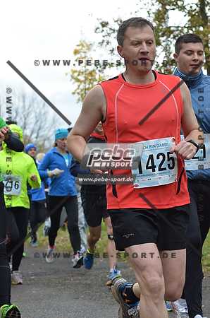 Preview 131110_103401mb0141arc.jpg