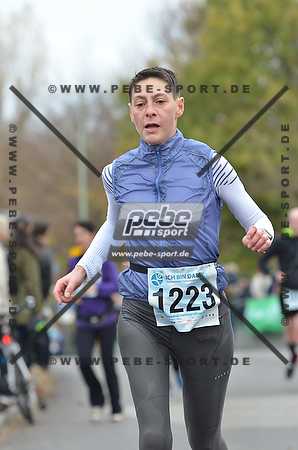 Preview 131110_121101mb3061arc.jpg