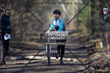 Preview 140222_103820_PB49135arc.jpg