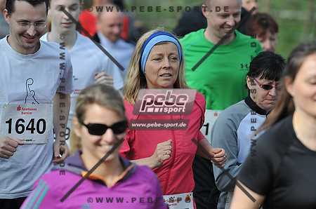 Preview 140413_103628_PB3_8560arc.jpg