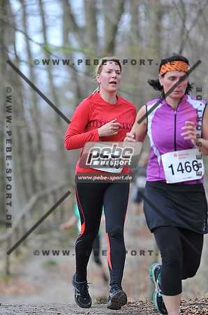 Preview 140413_111301_PB3_9071arc.jpg