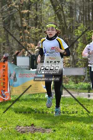 Preview 140413_111022mb0925arc.jpg