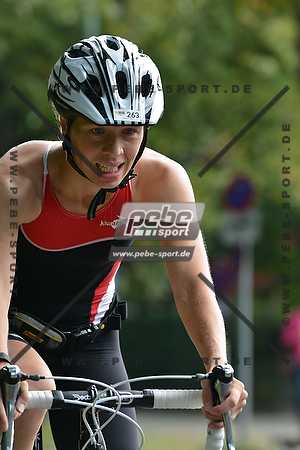 Preview 140830_100445ol1279arc.jpg