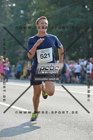 Preview 140907_113012_PB4_8746arc.jpg