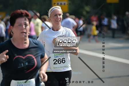 Preview 140907_130532_PB4_2688arc.jpg