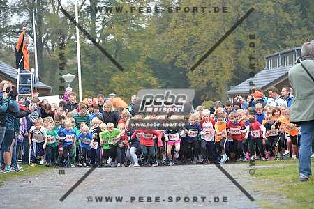 Preview 141012_100236_PB4_0818arc.jpg