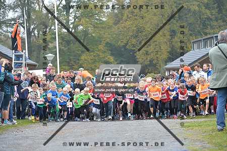 Preview 141012_100236_PB4_0819arc.jpg