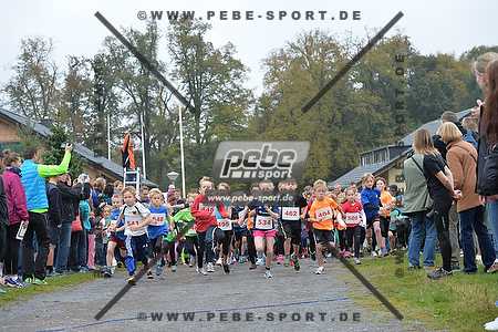 Preview 141012_100239_PB4_0829arc.jpg