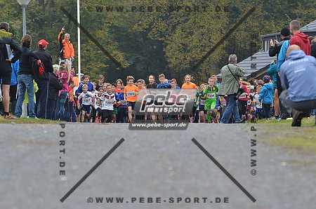 Preview 141012_101536mb0227arc.jpg