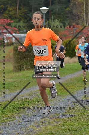 Preview 141012_101657mb0286arc.jpg