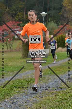 Preview 141012_101657mb0287arc.jpg