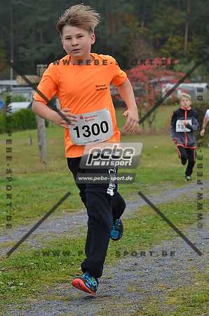 Preview 141012_101705mb0308arc.jpg