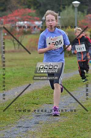 Preview 141012_102106mb0398arc.jpg