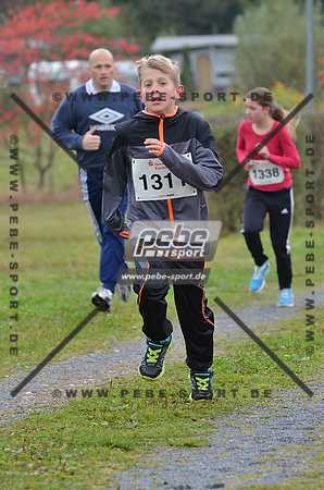 Preview 141012_102108mb0401arc.jpg