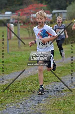 Preview 141012_102113mb0413arc.jpg