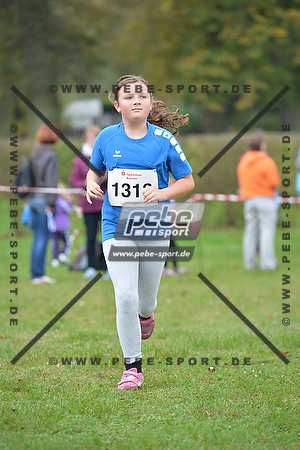 Preview 141012_102019_PB4_1503arc.jpg