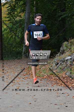 Preview 141012_110159mb0740arc.jpg