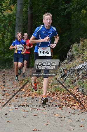 Preview 141012_110639mb0793arc.jpg