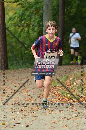 Preview 141012_110712mb0826arc.jpg