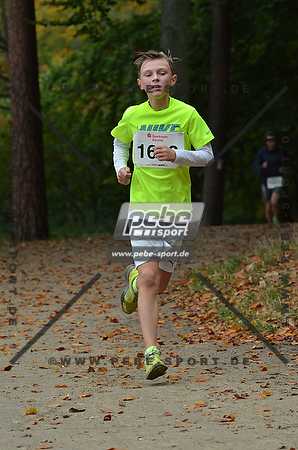 Preview 141012_110726mb0835arc.jpg