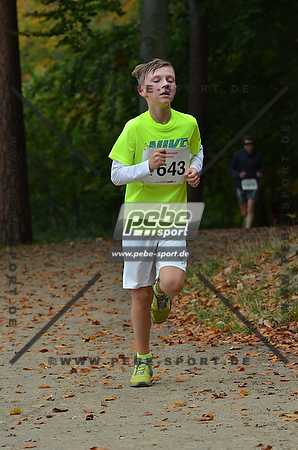 Preview 141012_110726mb0836arc.jpg