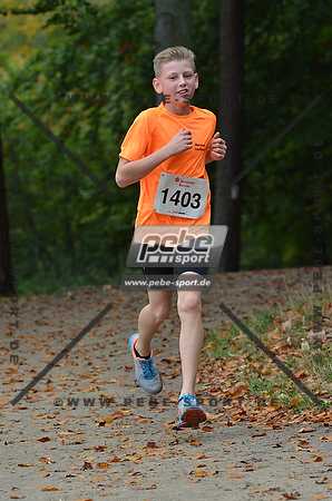Preview 141012_110824mb0856arc.jpg