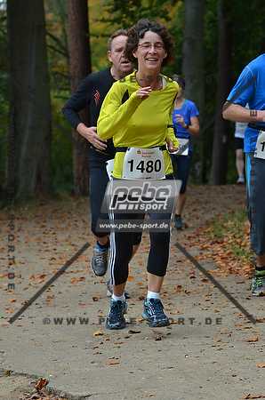 Preview 141012_111106mb0964arc.jpg