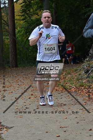 Preview 141012_111112mb0978arc.jpg
