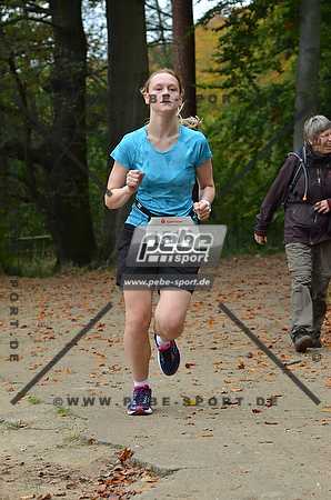 Preview 141012_111242mb1078arc.jpg