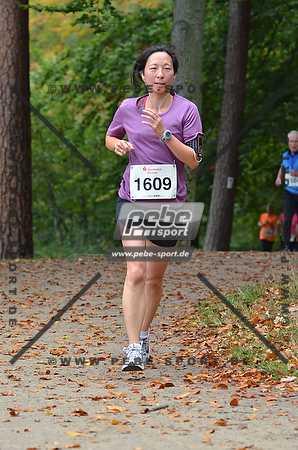 Preview 141012_111337mb1124arc.jpg
