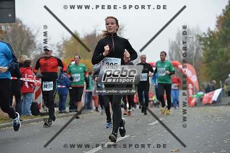 Preview 141109_111617_PB4_7122arc.jpg