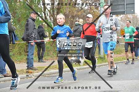 Preview 141109_111619_PB4_7130arc.jpg