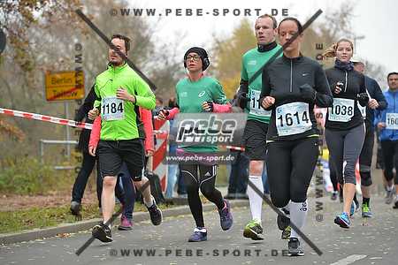 Preview 141109_111724_PB4_7319arc.jpg