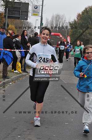 Preview 141109_111811sm0779arc.jpg