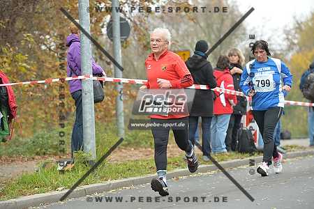 Preview 141109_111813_PB4_7464arc.jpg