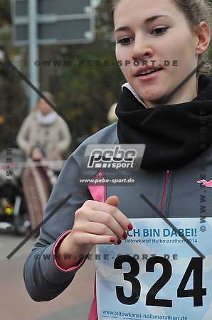 Preview 141109_111813sm0783arc.jpg