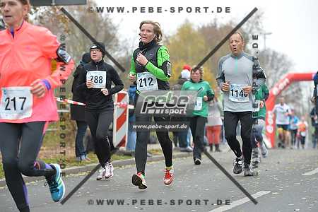 Preview 141109_111927_PB4_7681arc.jpg